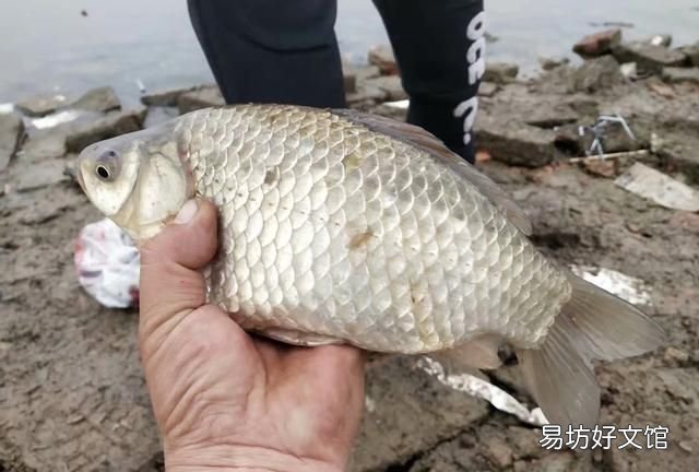 秋冬季钓鱼什么时候最佳,冬季钓鱼什么时间是最佳的