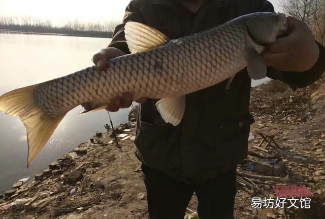 秋冬季钓鱼什么时候最佳,冬季钓鱼什么时间是最佳的