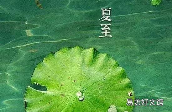 夏至下雨有什么说法:“夏至雨点值千金”是什么意思