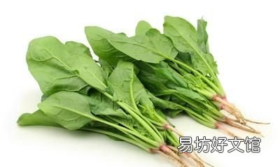 咬春吃什么蔬菜,吃什么蔬菜最健康