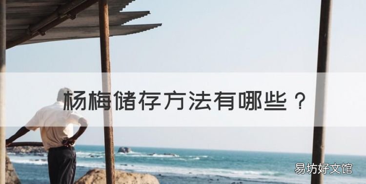 杨梅储存方法，杨梅怎么保存 这几种方法都可以种植
