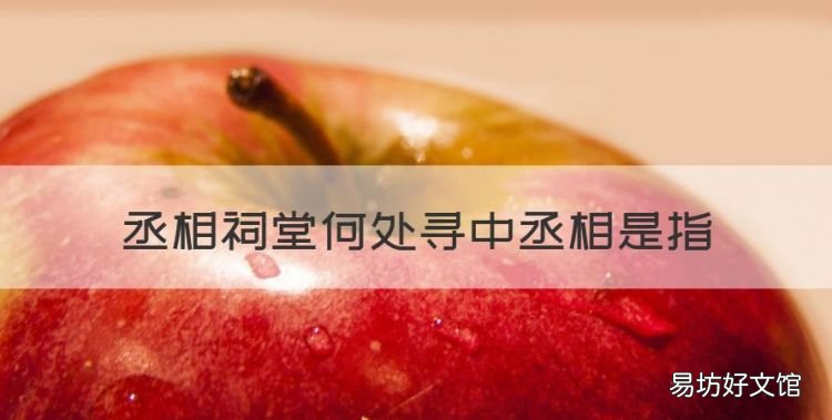 杜甫《蜀相》解析及翻译,丞相祠堂何处寻中丞相是指