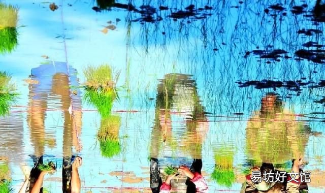 古人留下的農諺“小滿行冬令，必定有災荒”，是什么意思呢？