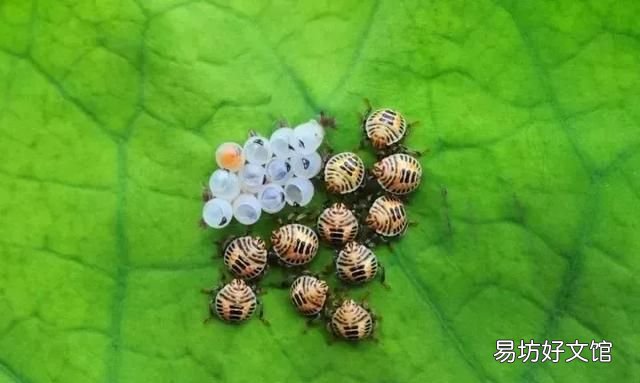 今年教师节,如果用一句话表达对老师的祝福,你会说什么