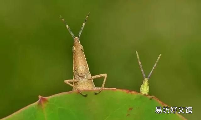 今年教师节,如果用一句话表达对老师的祝福,你会说什么