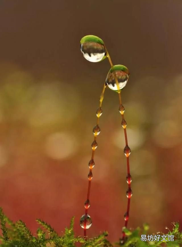 今年教师节,如果用一句话表达对老师的祝福,你会说什么