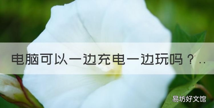 电脑可以一边充电一边玩