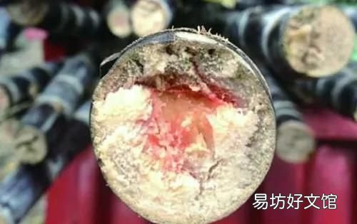甘蔗断面发红,且有这种香味,建议您别吃吗