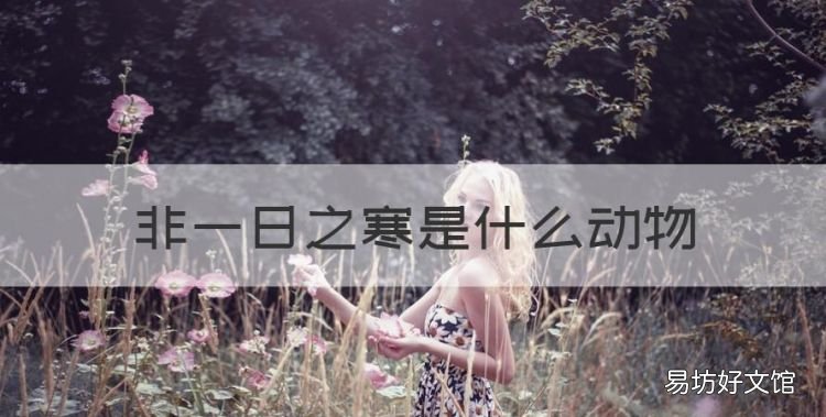 非一日之寒是什么动物,冰冻三尺非一日之寒的意思