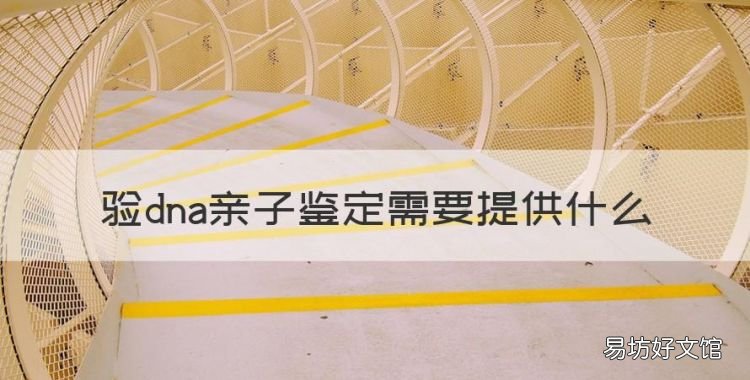 验dna亲子鉴定需要提供什么