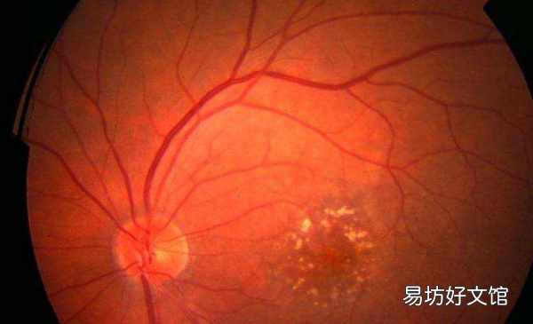 pdr安全模型属于什么类型,信息安全模型可分为哪两大类型