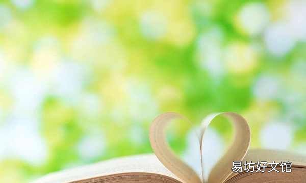 小节和自然段的区别，自然段和段有区别吗
