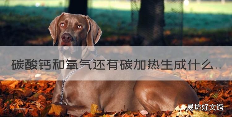 碳酸钙高温生成什么，碳酸钙和氧气还有碳加热生成什么