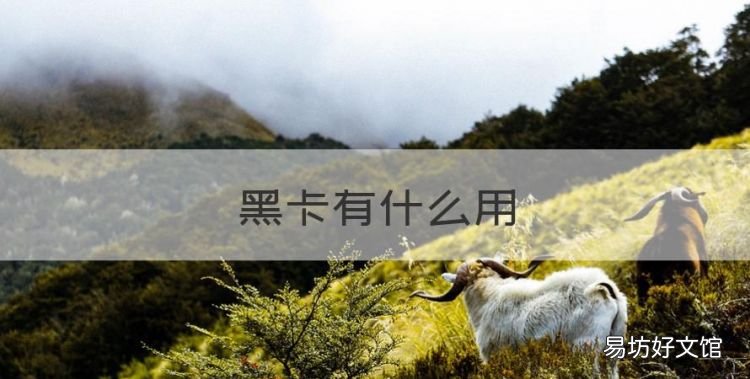 黑卡有什么用,王者一起开黑是什么意思