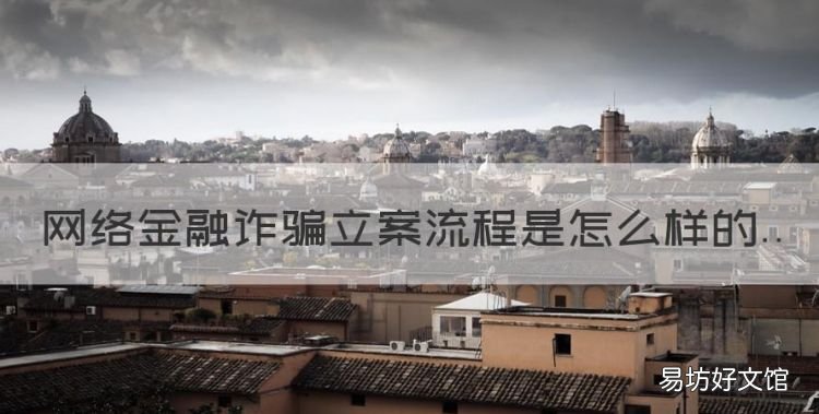 网络金融诈骗立案流程是怎么样的