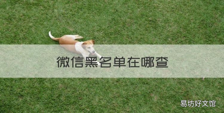 微信黑名单在哪查,微信黑名单在哪里找出来