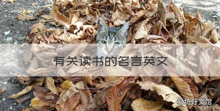 有关读书的名言英文,关于读书的英语名言