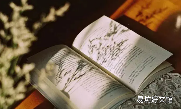 有关读书的名言英文,关于读书的英语名言