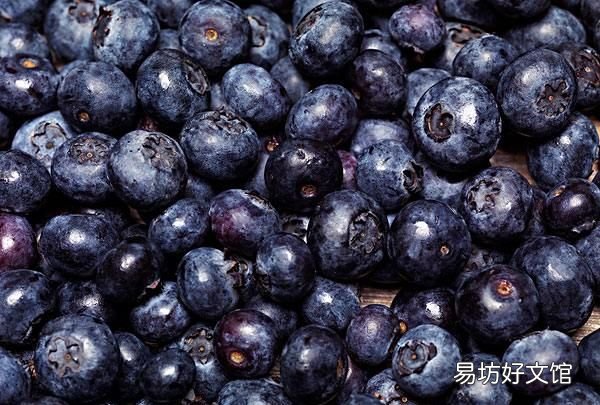 速攻蓝莓怎么吃,蓝莓怎么吃好吃