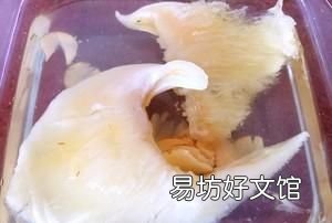 鱼翅怎么发，鱼翅怎么泡发