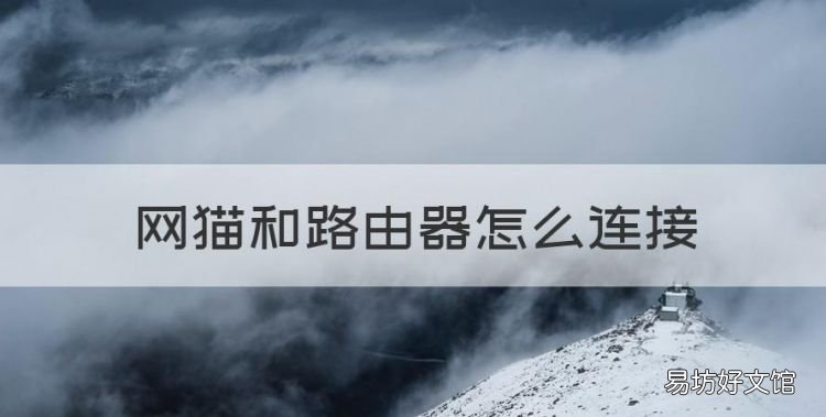 网猫和路由器怎么连接,光猫连接路由器后无法上网