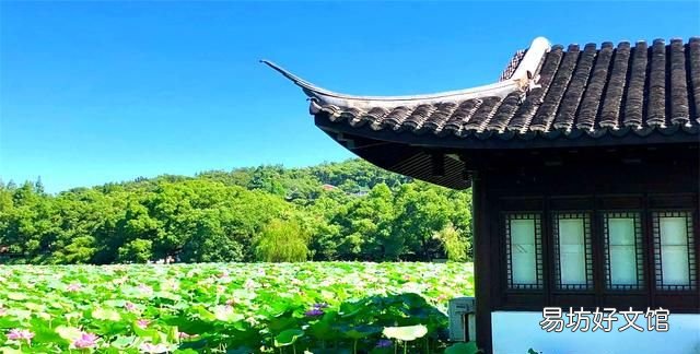 我国最热的4个城市,被称为四大火炉 四大火炉是哪四个城市