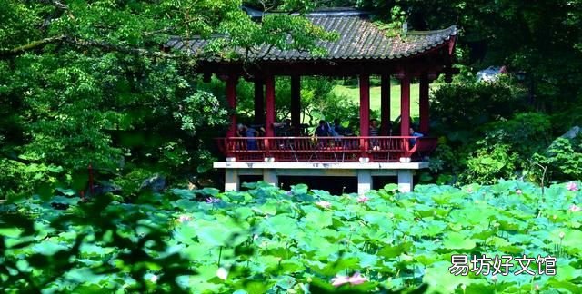 我国最热的4个城市,被称为四大火炉 四大火炉是哪四个城市