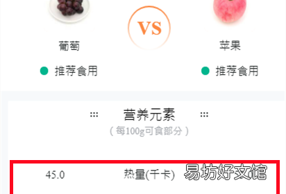 夏天吃什么水果好? 苹果的热量