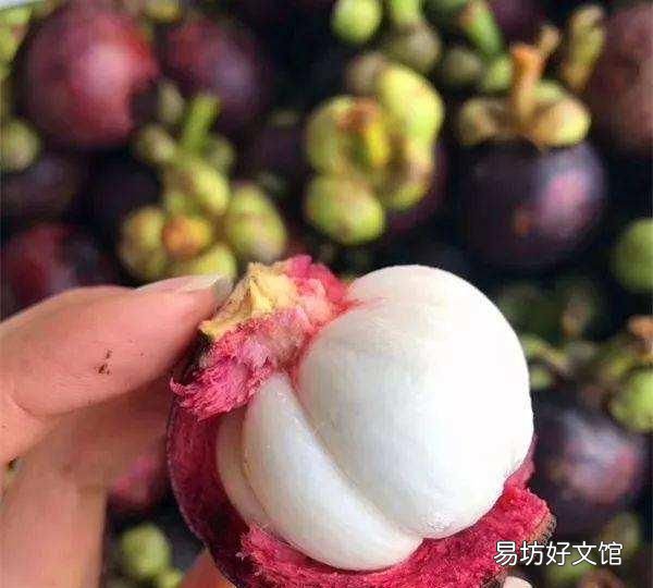 山竹公母怎么挑选