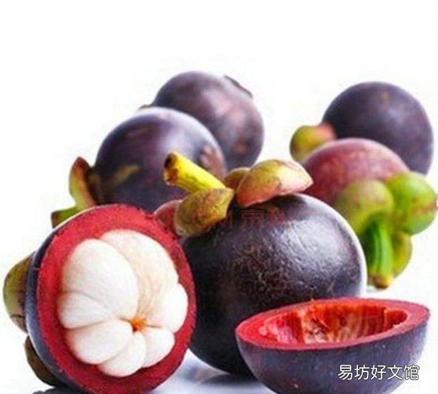 山竹公母怎么挑选