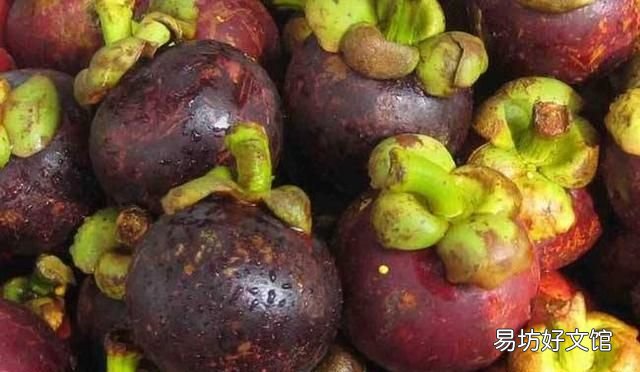 山竹公母怎么挑选