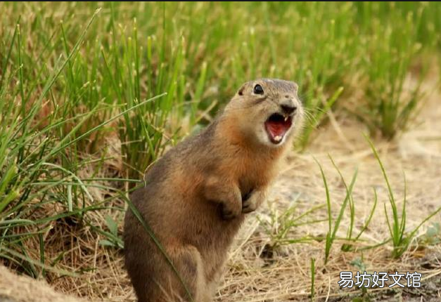 欧洲奢华宝藏小镇
