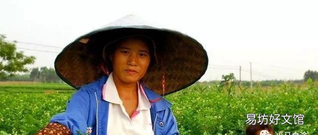 广西十大特产 广西特产