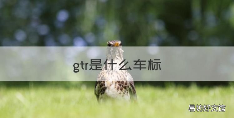 gtr是什么车标,车上的 标志GTR跑车是 哪个国家的车