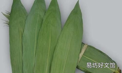 食材 粽子窍门,碱水粽子的做法和配料窍门
