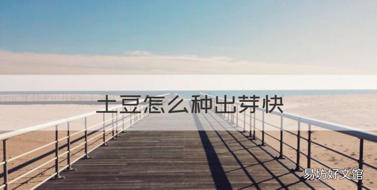 怎样让土豆发芽,土豆怎么种出芽快