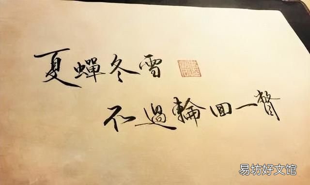 蚕吐丝的过程发生在什么时候