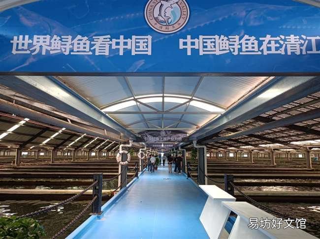 揭晓最新国内鱼子酱价格一览 正宗鱼子酱多少钱一克