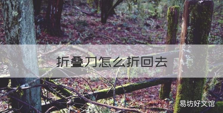 buck折叠刀怎么收,折叠刀怎么折回去