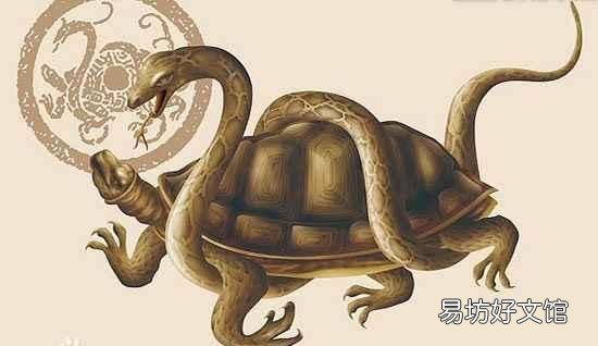 最近比较火的“神兽”,如神兽归来,神兽归笼,神兽什么意思