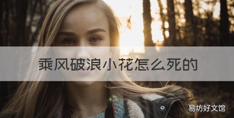 乘风破浪结局,乘风破浪小花怎么死的