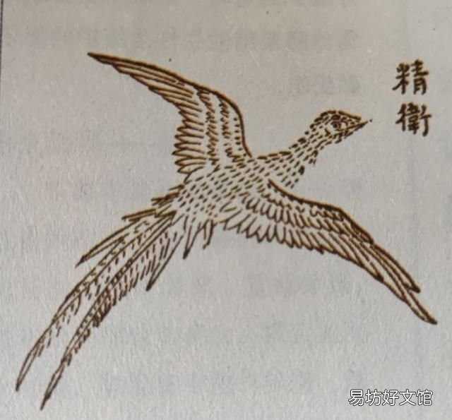 山海经精卫填海原文及翻译,山海经精卫填海