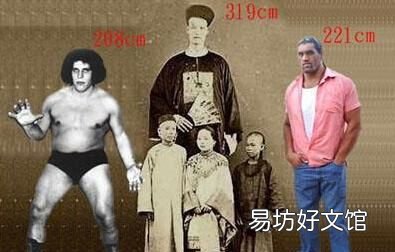 篮板多高 世界上有人能够站着就能够摸到篮板上沿,你信吗?