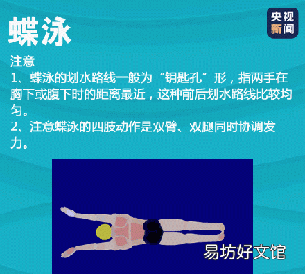 蛙泳动作顺口溜