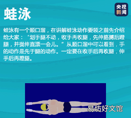 蛙泳动作顺口溜