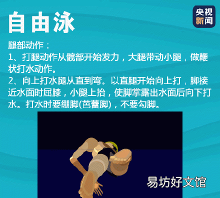 蛙泳动作顺口溜