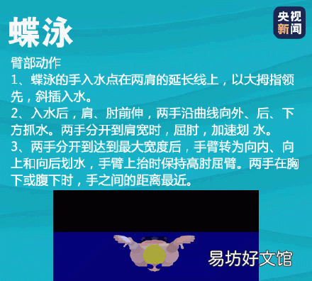 蛙泳动作顺口溜