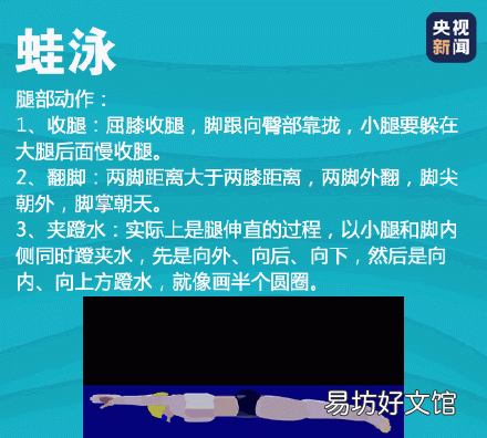 蛙泳动作顺口溜