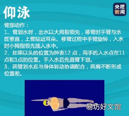 蛙泳动作顺口溜