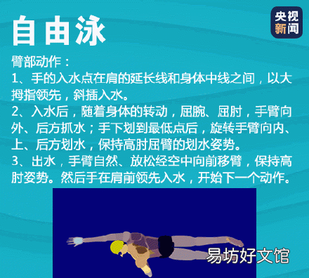 蛙泳动作顺口溜